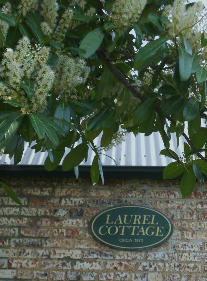 Laurel Cottage Richmond Exteriér fotografie