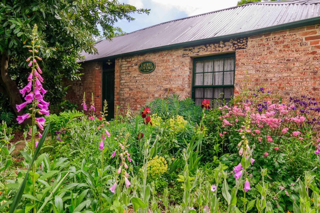 Laurel Cottage Richmond Exteriér fotografie